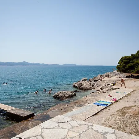 Nikoleto * Ζαντάρ