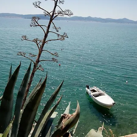 Nikoleto * Ζαντάρ